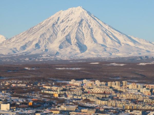 Крысиное чутье. Как грызуны помогают предсказывать землетрясения на Камчатке? Интервью с сейсмологом Данилой Чебровым