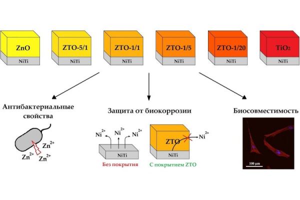 Химики создали биосовместимое нанопокрытие из оксидов титана и цинка для имплантов